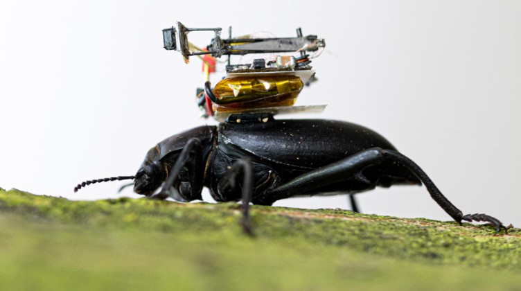 Створено крихітну камеру GoPro у вигляді рюкзака для комах