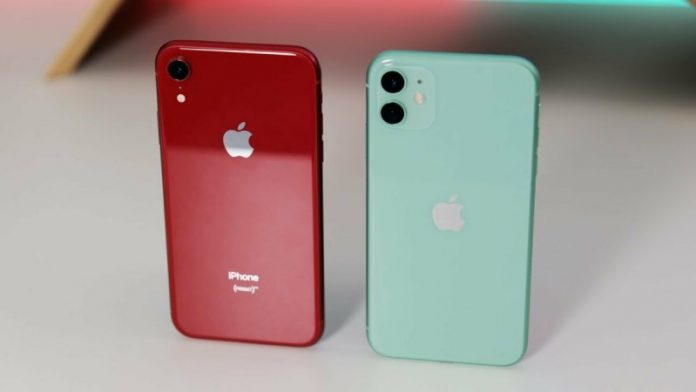 Експерти порівняли смартфони iPhone 11 і iPhone XR і назвали їх недоліки
