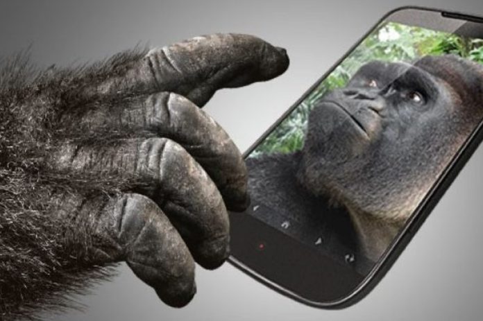 Європейський Союз звинуватив Gorilla Glass у монополії