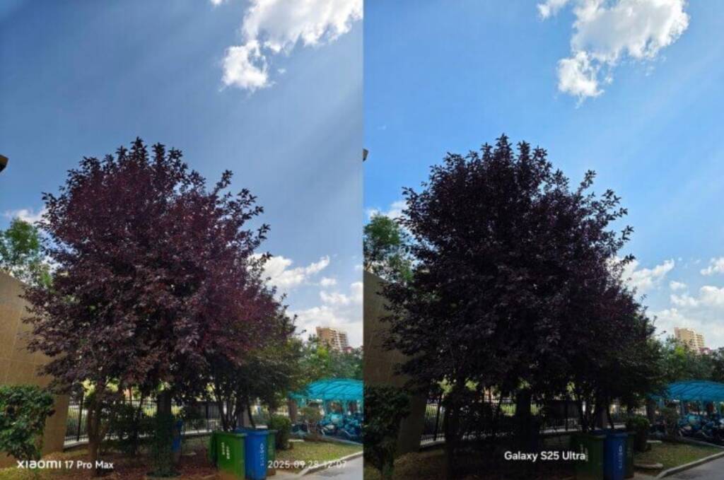 Пример фотографии Xiaomi 17 Pro Max