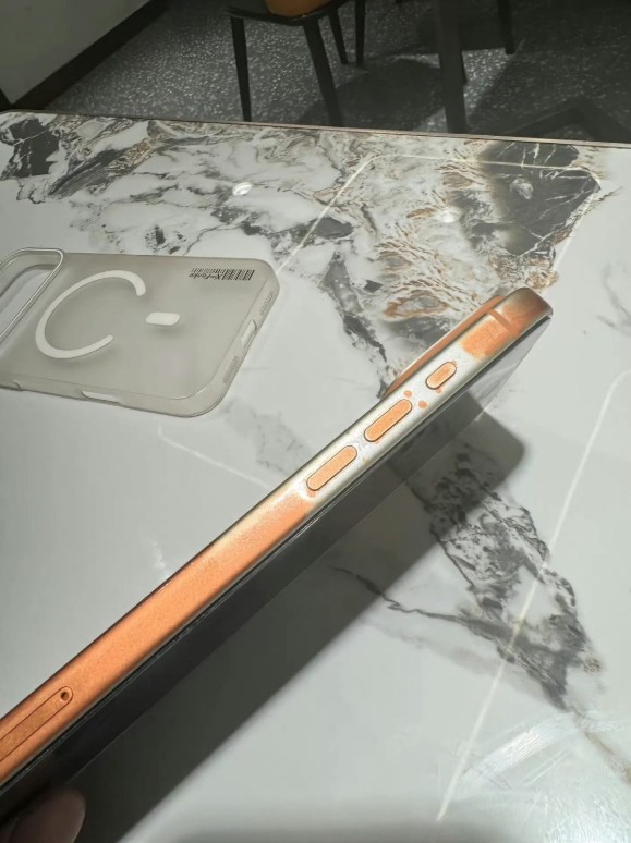 iPhone 17 Pro Max Cosmic Orange