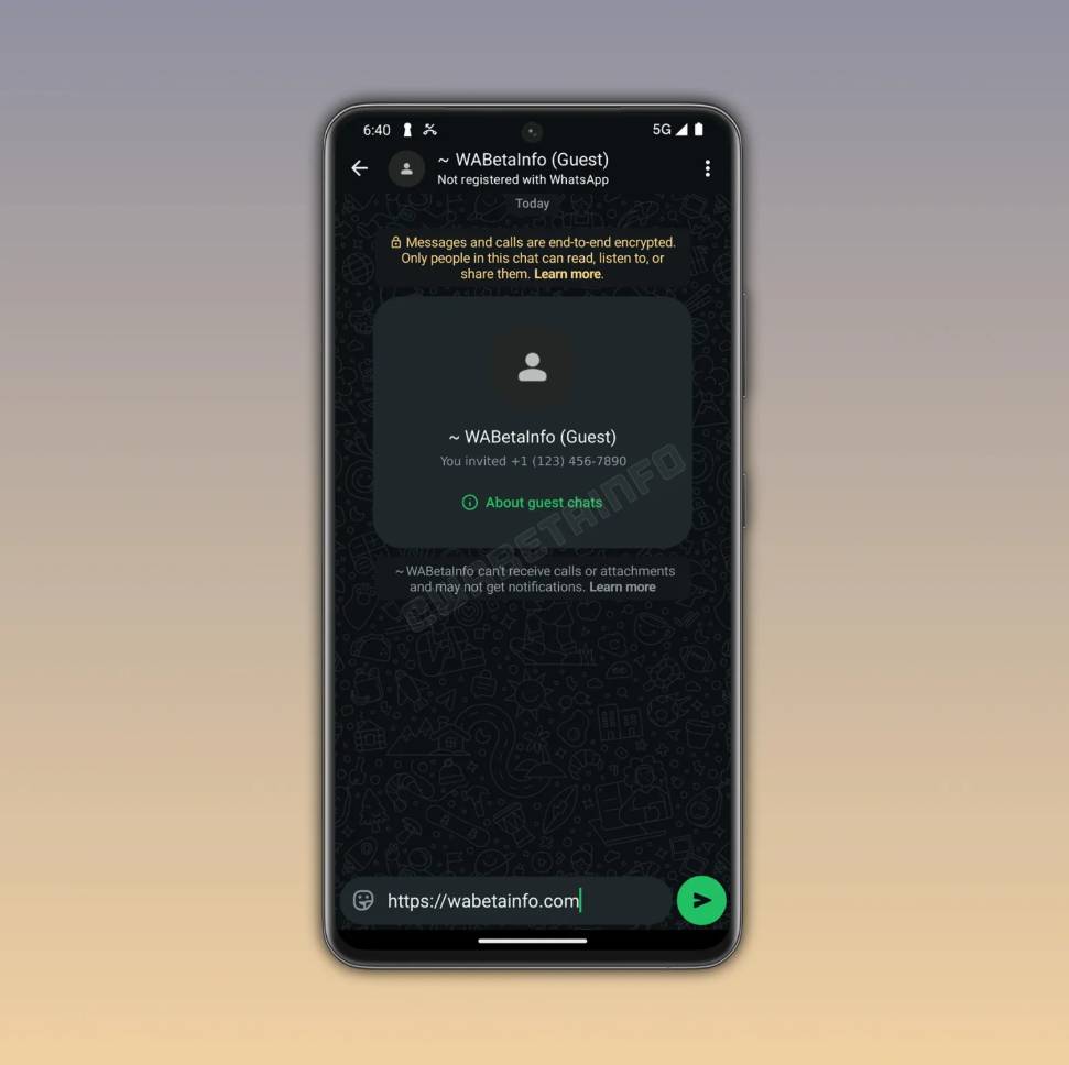 WhatsApp Guest Chats